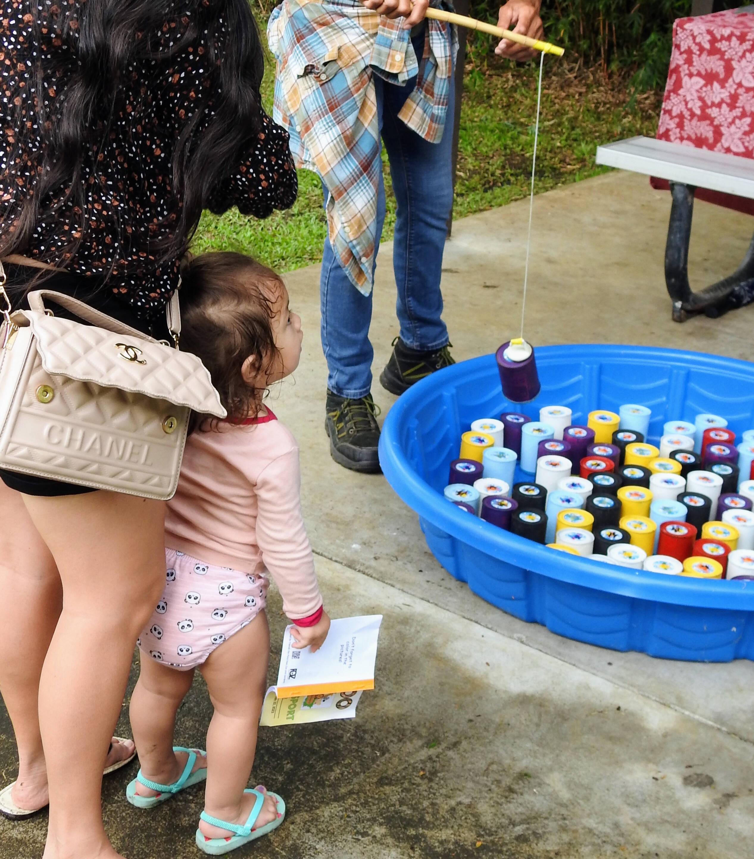 Tiger Fun Day 2024 | Panaewa Rainforest Zoo and Gardens